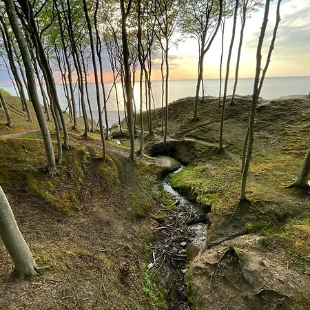 펜션 Baltic Barns Bura *