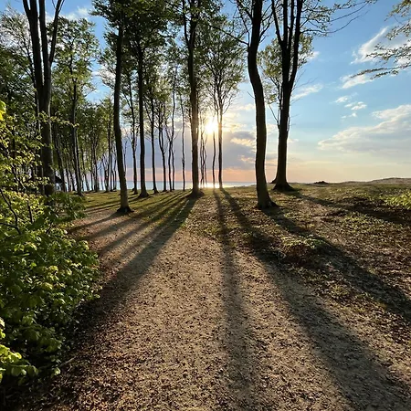 Baltic Barns Bura * Wytowno