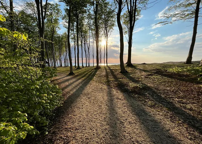 Baltic Barns Bura * Wytowno